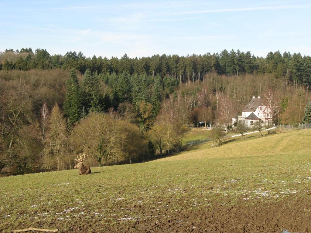 Waldhotel Forsthaus Remstecken Koblenz  Eksteriør bilde